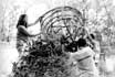 "Cosmogony" - International Youth Exchange /Lovech, Bulgaria – September/
