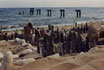 "Structures on the Sand" - International Youth Exchange /Varna, Bulgaria – August/