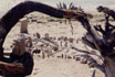 "Structures on the Sand" - International Youth Exchange /Varna, Bulgaria – August/