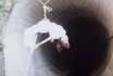 "Rotation" - International Youth Exchange /The Rhodopi Mountain, Bulgaria - August/