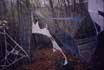 "Treausure" II /1997 - 1998/ - International Youth Exchange /Bogomolsko, Bulgaria - October/