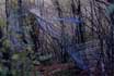 "Treausure" II /1997 - 1998/ - International Youth Exchange /Bogomolsko, Bulgaria - October/