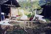 "Treausure" II /1997 - 1998/ - International Youth Exchange /Bogomolsko, Bulgaria - October/