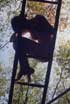 "Treausure" II /1997 - 1998/ - International Youth Exchange /Bogomolsko, Bulgaria - October/