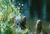 "The Killer is Always the Gardener" - International Youth Exchange /Gottsdorf, Germany – July, August/
