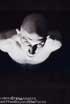 "Biographies of the Body" Exhibition /Sofia City Art Gallery, Sofia, Bulgaria - May/