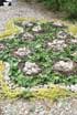"Natural - Human" Land art Forum /Vaksevo, Bulgaria - July, 8 – 12/