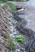 "Natural - Human" Land art Forum /Vaksevo, Bulgaria - July, 8 – 12/