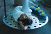 "Soft Materials" Action /Kiustendil, Bulgaria - August 21 - 23/